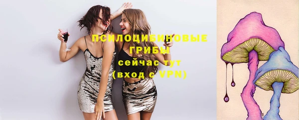 jwh Белокуриха