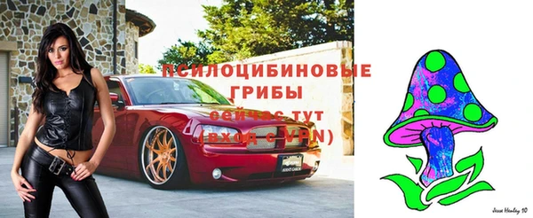 дурь Беломорск