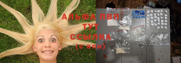 стаф Арсеньев