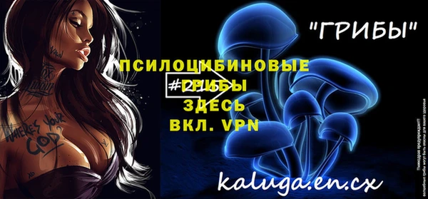 соль ск Балахна
